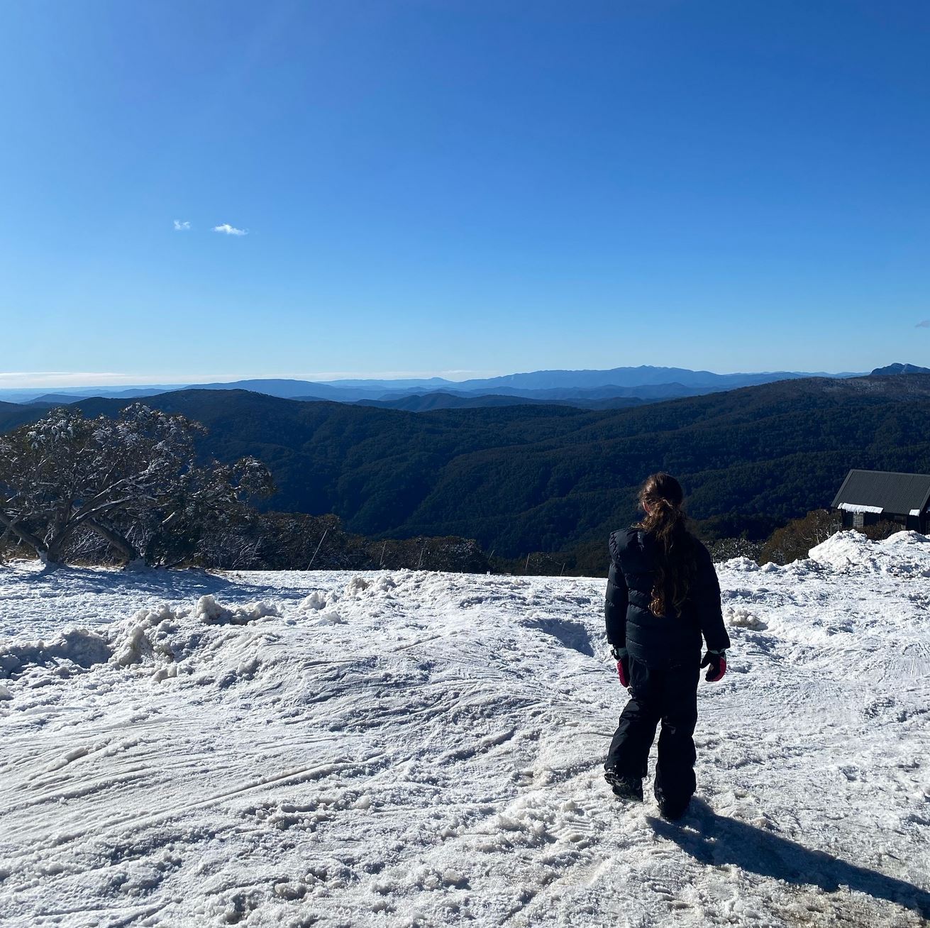 Real Aussie Snow Conditions