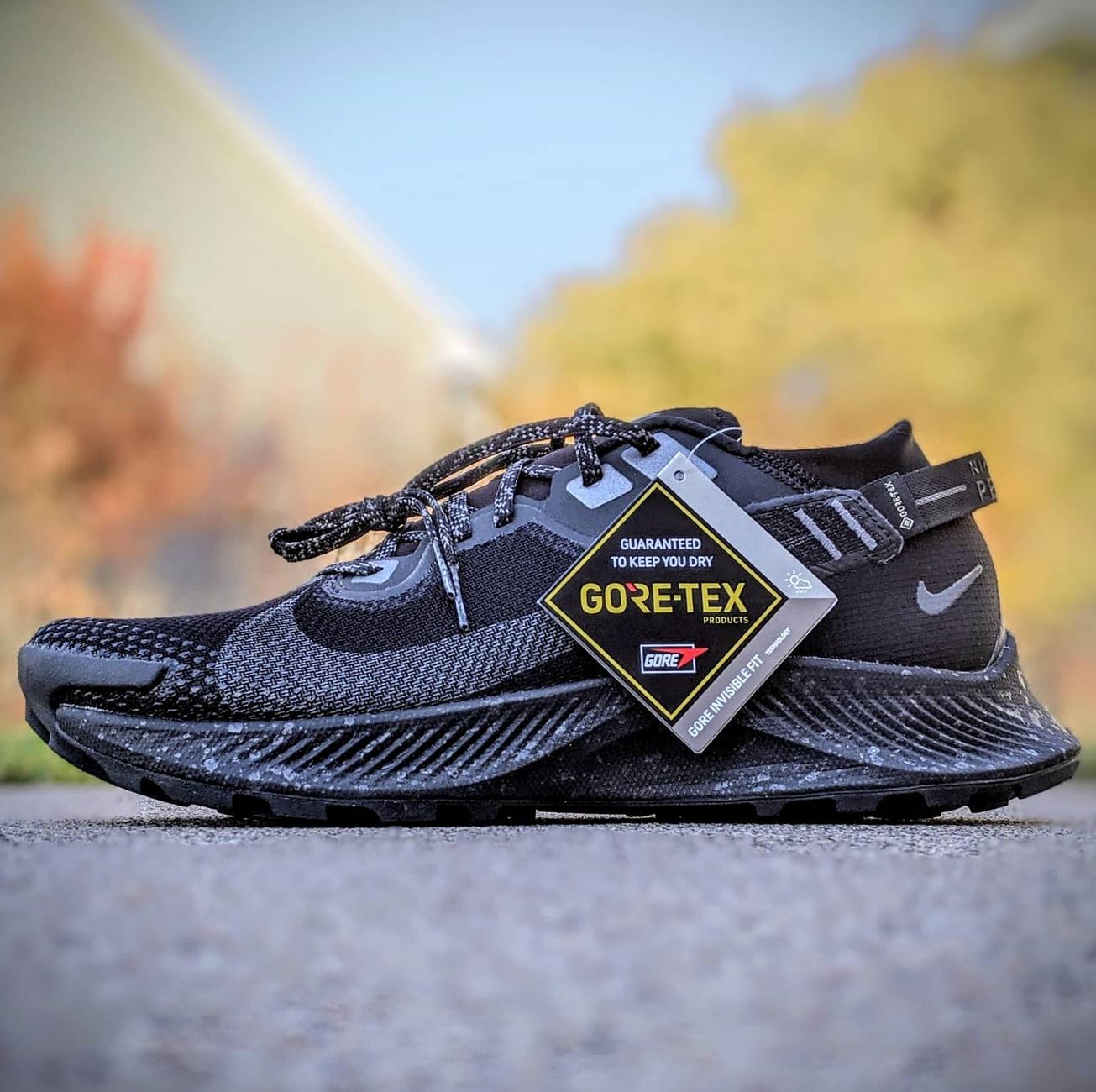Winter Trail Runners